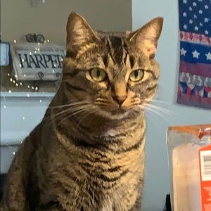 Meet your Posher, Audrey